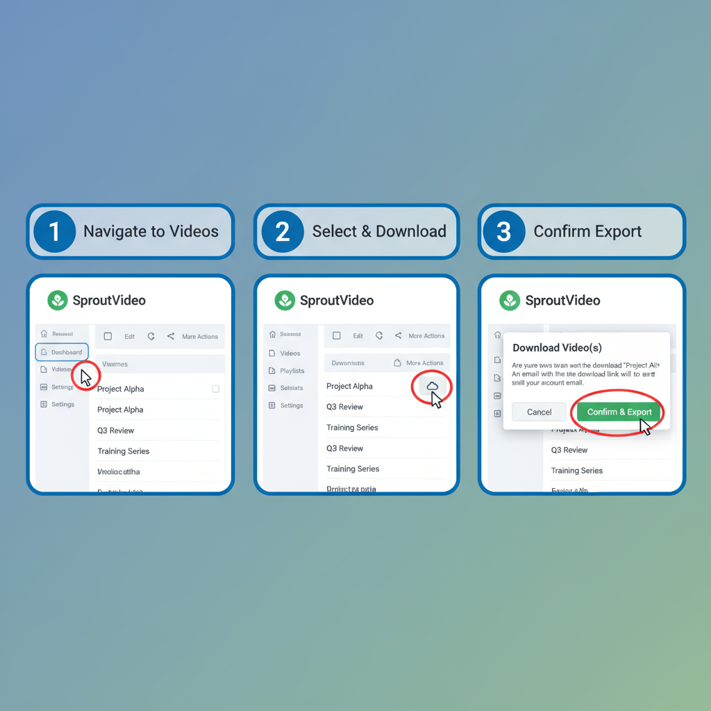 video storage workflow