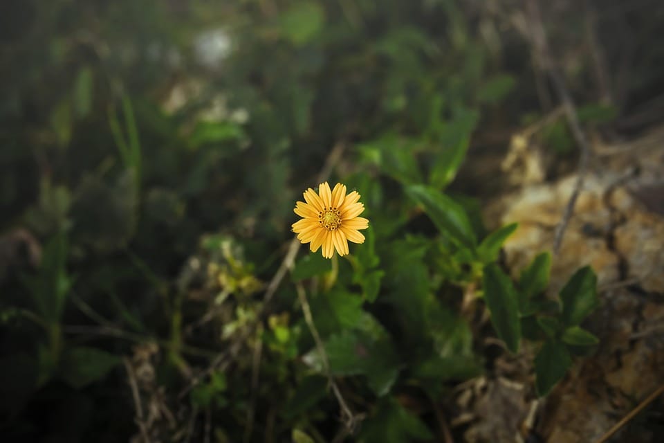 upload-screenshot