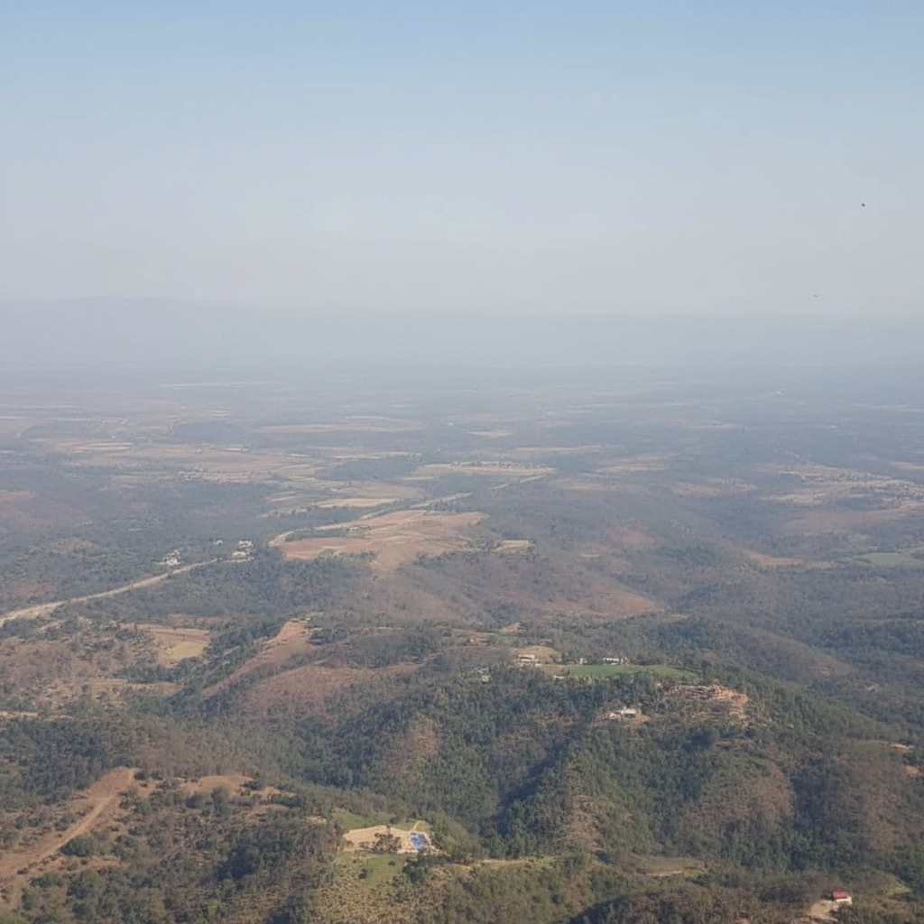 Identifying Target Audience and Choosing Platforms — ultimate guide to post sponsoring for brands and creators