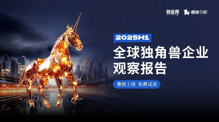 The Capital Market Is Wary of Designer Toys