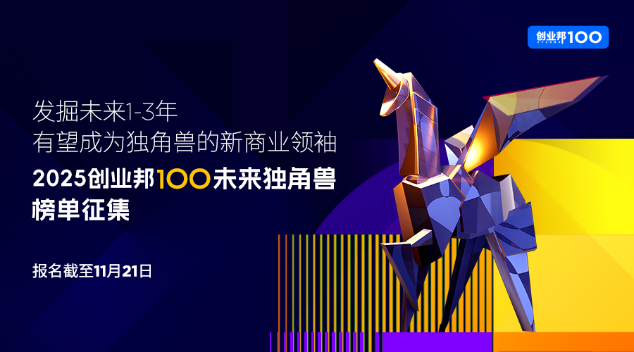 The Capital Market Is Wary of Designer Toys