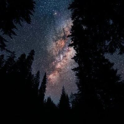 Handcrafted 1,000-Line Java OpenAI gpt-oss Inference Engine