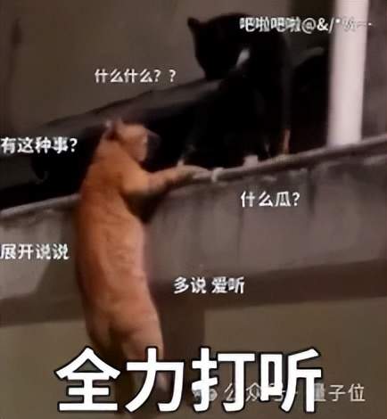 Altman Admits Google Threatens OpenAI, to Launch New Model "Shallotpeat