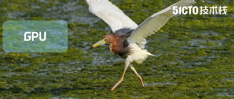 Current LLMs Waste 96% GPU — Inference Systems May Need a Rethink! NVIDIA’s Chinese Team Achieves Nearly 6× Token Speed with Free Token Slots, No Closed-Source Dependency