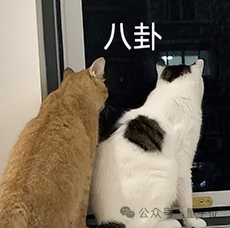 ByteDance’s “Doubao Phone” Just Launched, Geely’s Progress Revealed: 200-Person Team Built in First Month, Poaching from Huawei, Xiaomi, and Honor