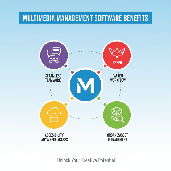 Top Multimedia Management Software for File Organization