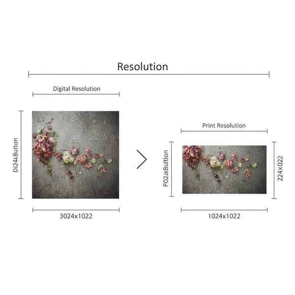Common Photo Dimensions for Print and Digital Use