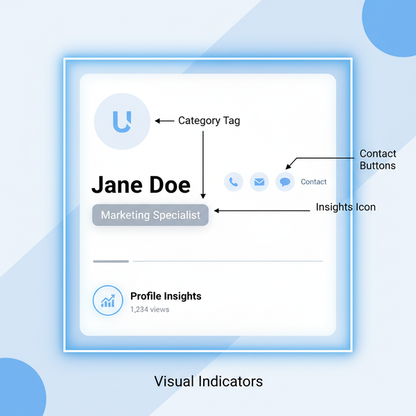 How to Tell if an Instagram Account Is Professional
