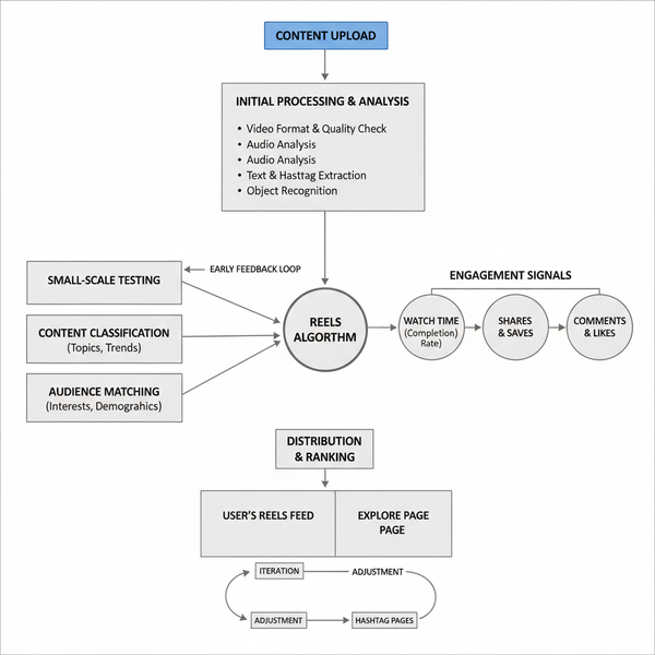Master the Instagram Reels Algorithm for Rapid Growth