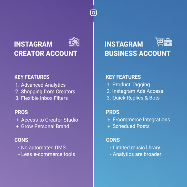 IG Professional Account Categories Explained