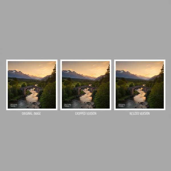 Standard Photo Sizes for Printing and Digital Images