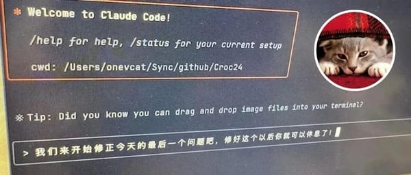 Meow God: Insights and Reflections on Vibe Coding as a Veteran Programmer