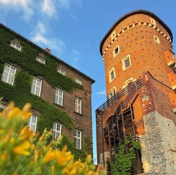 Application Practices of LLM Technology in Youdao Dictionary Pen