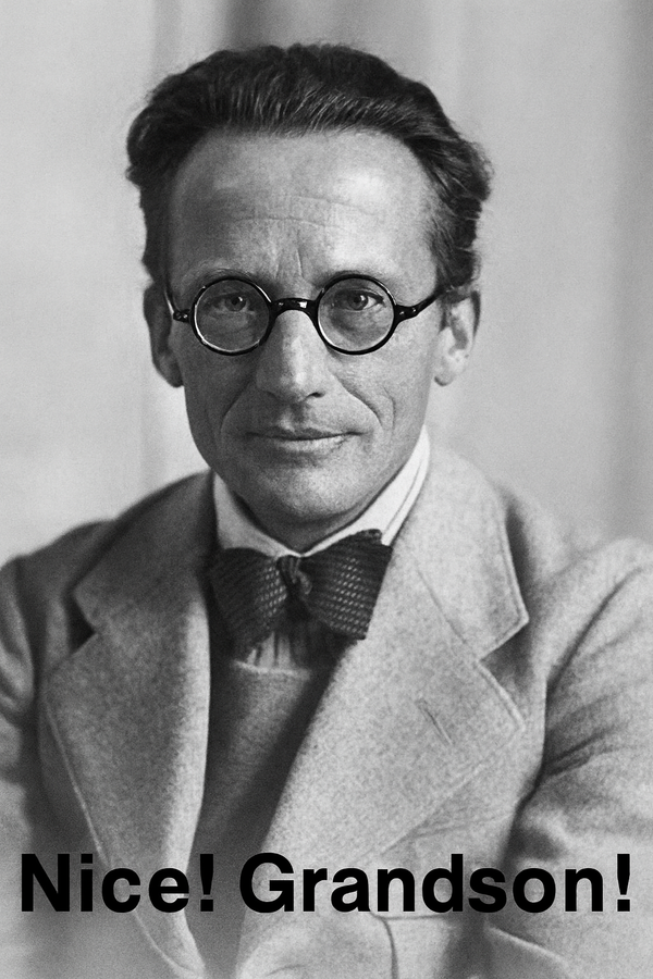 Schrödinger’s Grandson Launches Quantum Computing Startup, Jensen Huang Became an Early Shareholder