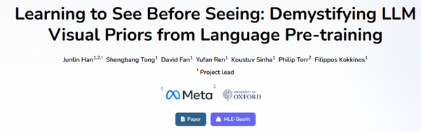 Can Reading Countless Books Help Large Models “See” the Visual World? Meta Reveals the Origins of LLM Visual Priors