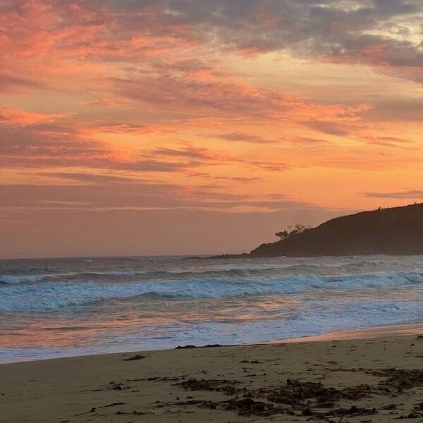 From Software Development to Test Automation: A Role Transition