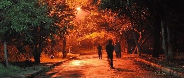 Applications and Challenges of Large–Small Model Collaborative Architecture in Intelligent Financial Advisory