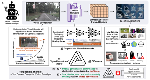 Nature | AdaptiveNN: Modeling Human-Like Adaptive Perception to Break the Machine Vision “Impossible Triangle”
